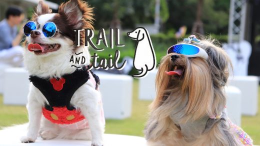 TRAIL and TAIL Pet-Friendly Community