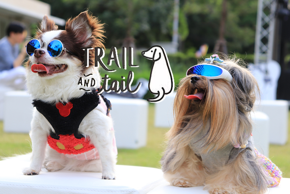 TRAIL and TAIL Pet-Friendly Community