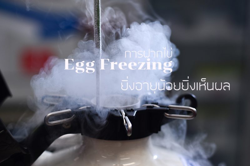 egg freezing การฝากไข่