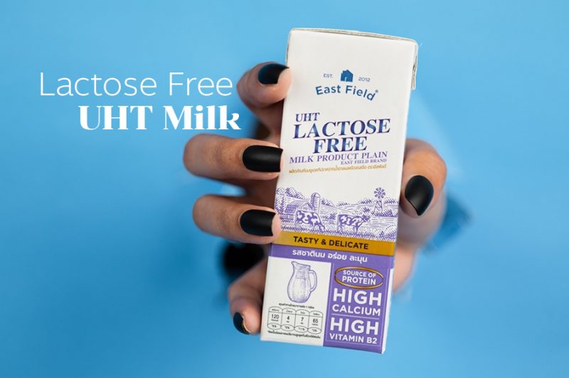 East Field Lactose Free UHT Milk 