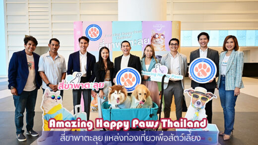 Amazing Happy Paws Thailand