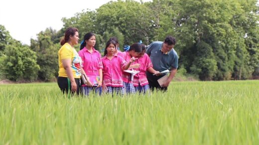 กรมการเปลี่ยนแปลงสภาพภูมิอากาศและสิ่งแวดล้อม