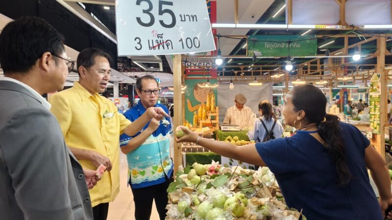 มหกรรมสินค้าเกษตรปลอดภัย เกษตรอินทรีย์ กรีนมาร์เก็ตเพชรบูรณ์