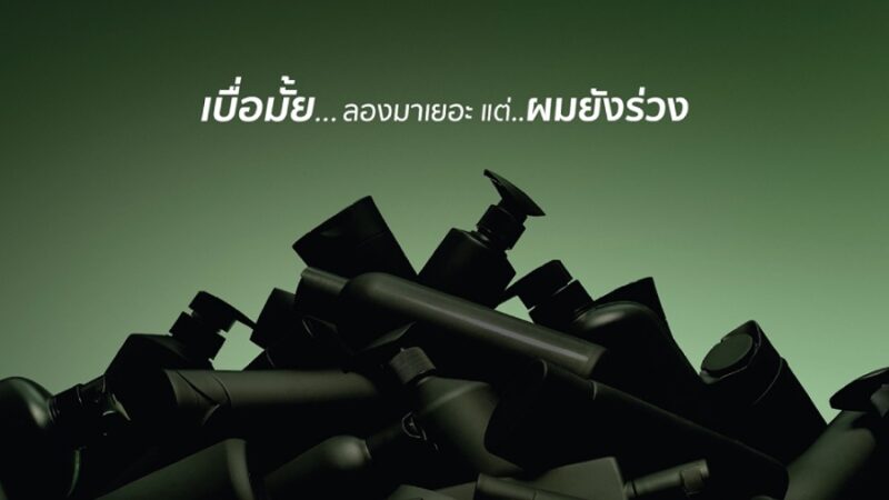 เขาค้อทะเลภู