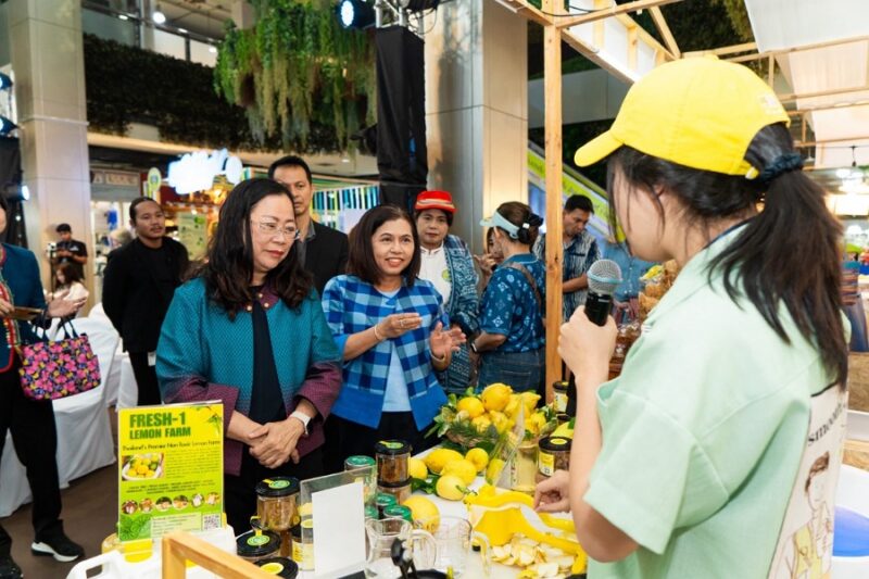 เพชรบุรี Fresh เกษตรกลางเมือง