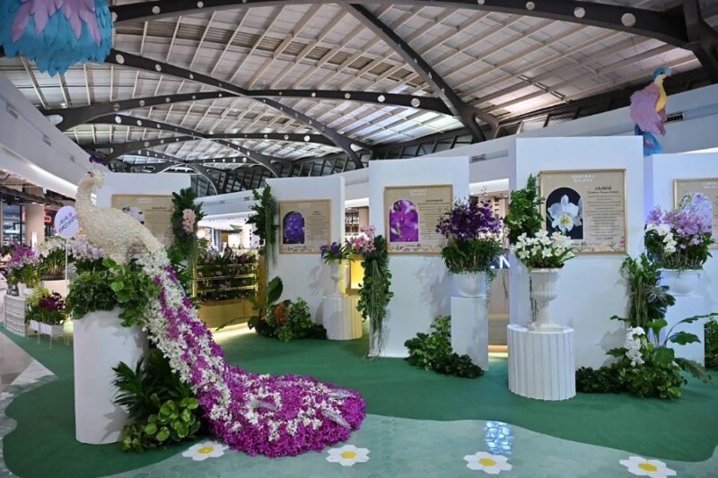 Salaya Melody of Orchid