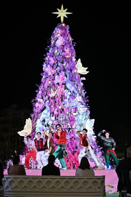 Salaya Melody of Orchid