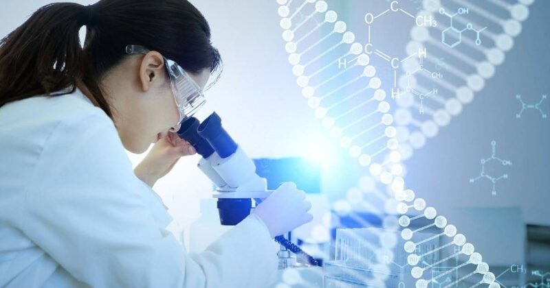 โรงพยาบาลกรุงเทพ