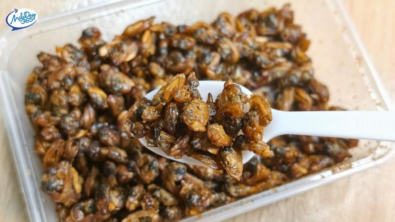 เพลินทะเล 888