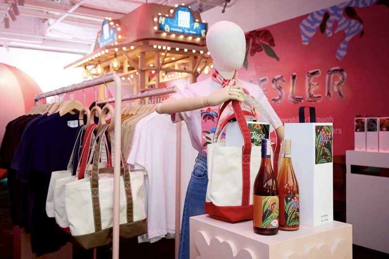 JOEL MESLER THE EXPERIENCE