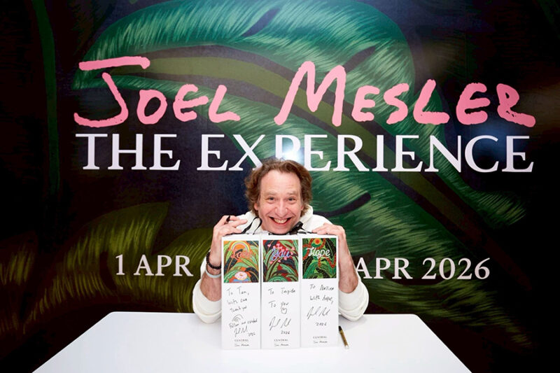 JOEL MESLER THE EXPERIENCE