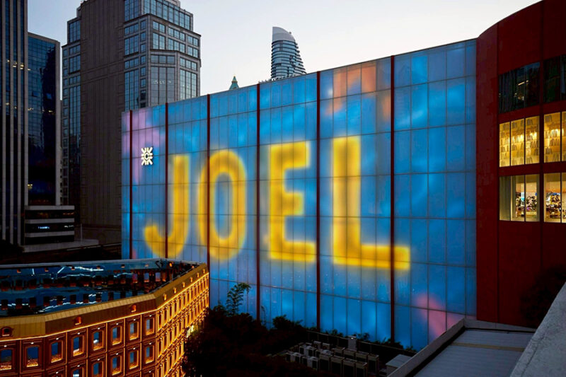 JOEL MESLER THE EXPERIENCE