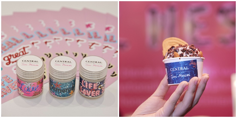 JOEL MESLER THE EXPERIENCE