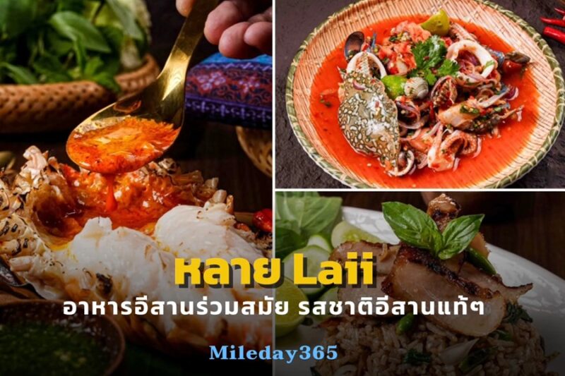 หลาย Laii