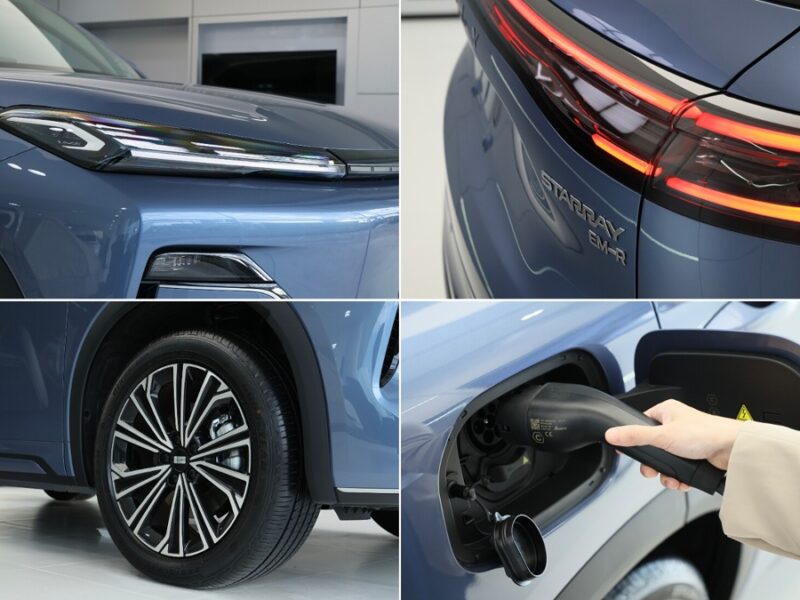GEELY STARRAY EM-R