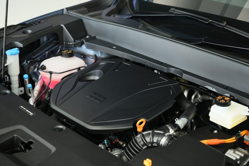 GEELY STARRAY EM-R