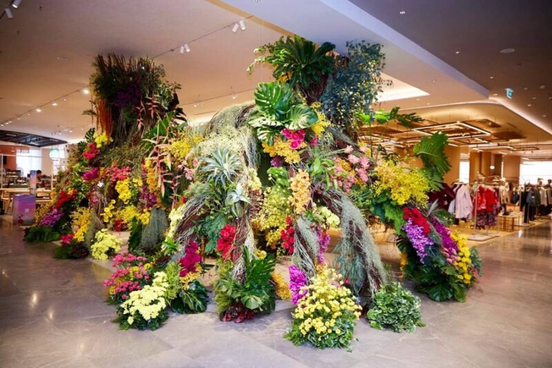 CENTRAL ANNIVERSARY 2026 WHERE WONDERS BLOOM