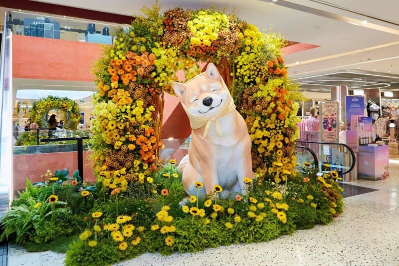 CENTRAL ANNIVERSARY 2026 WHERE WONDERS BLOOM