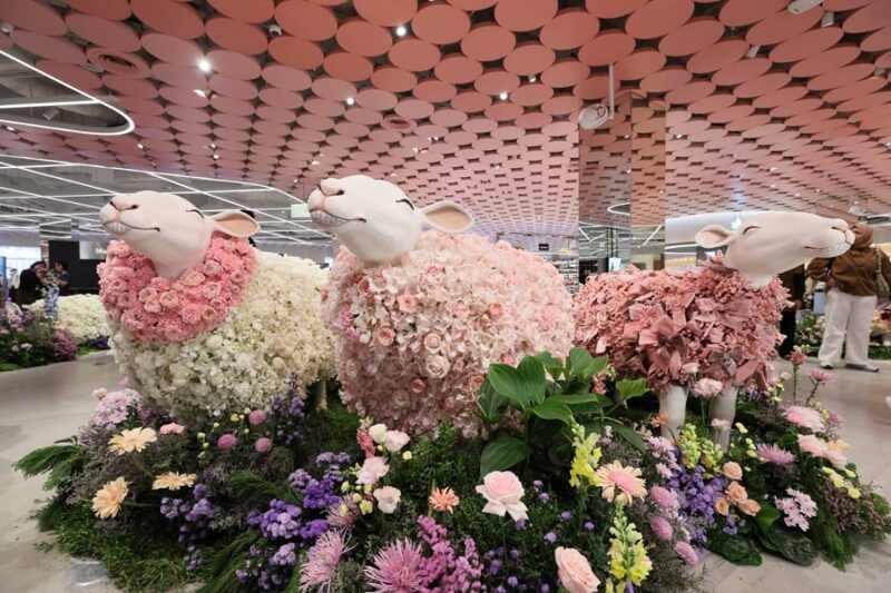 CENTRAL ANNIVERSARY 2026 WHERE WONDERS BLOOM