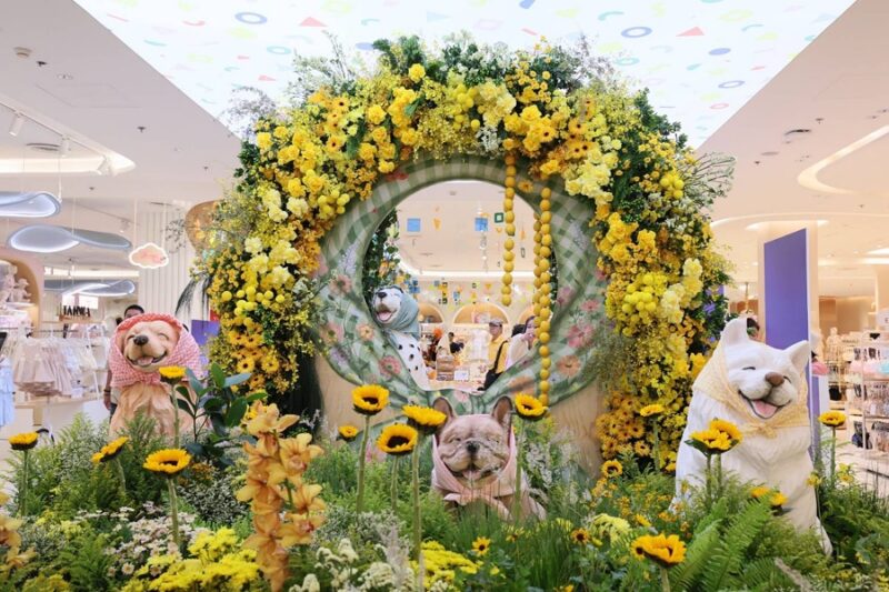 CENTRAL ANNIVERSARY 2026 WHERE WONDERS BLOOM